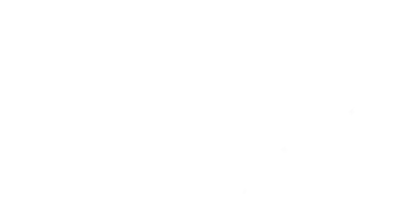 Mitrevski Zaunbau Mainz